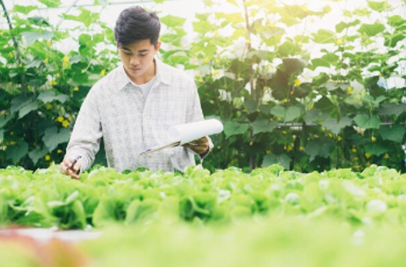 ข้อมูลตัวอย่าง : กรมการพัฒนาชุมชน ยกทัพสินค้า OTOP จากภูมิปัญญาท้องถิ่น เข้าเมืองกรุง