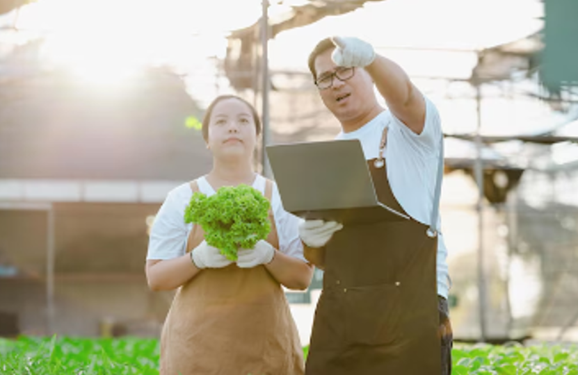 ข้อมูลตัวอย่าง : กรมการพัฒนาชุมชน ยกทัพสินค้า OTOP จากภูมิปัญญาท้องถิ่น เข้าเมืองกรุง ทดสอบ